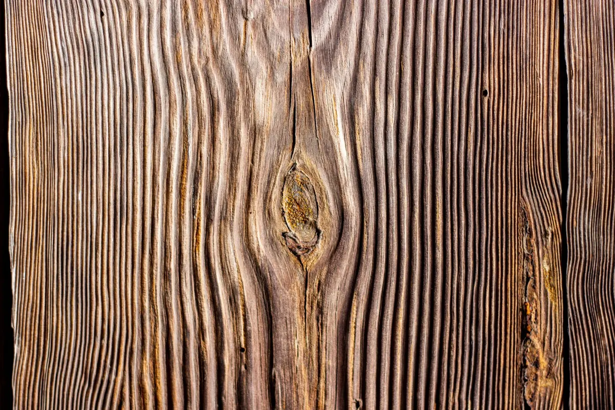 Understanding Wood Movement: Why British Hardwoods Expand and Contract