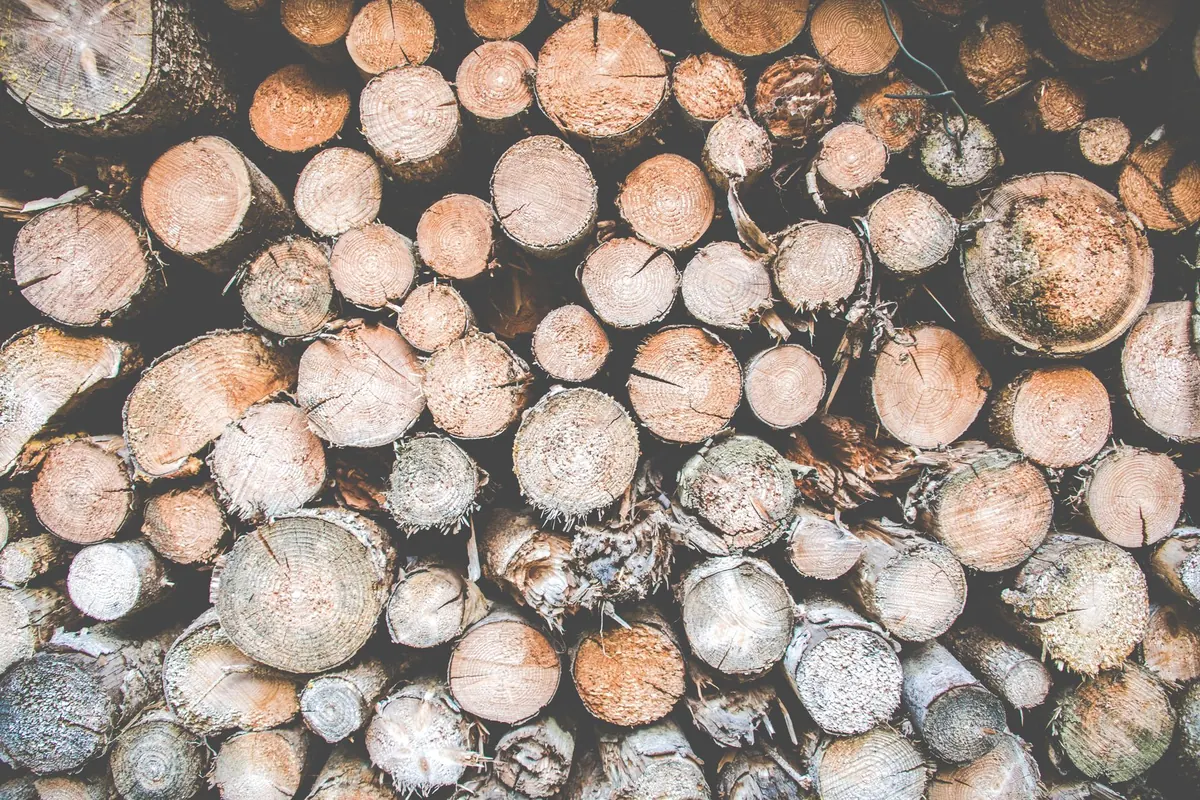 Using Locally Milled British Timber: A Guide to UK-Grown Woods